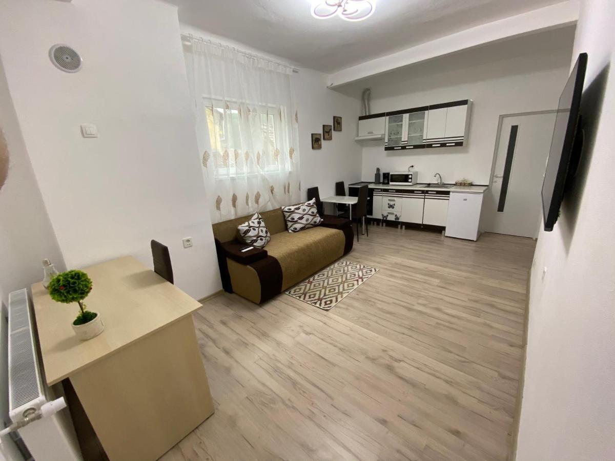 Centralhome Ap1 Sighisoara Exterior photo